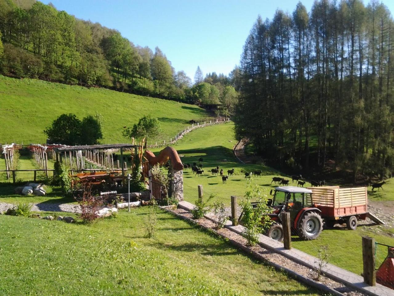 Agriturismo Le Radici ซาน เฟเดเล อินเตลวี ภายนอก รูปภาพ